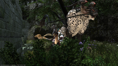 ffxiv_12282013_001456.png